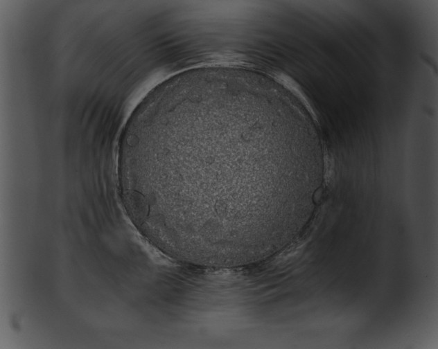X0000101461099200807141301