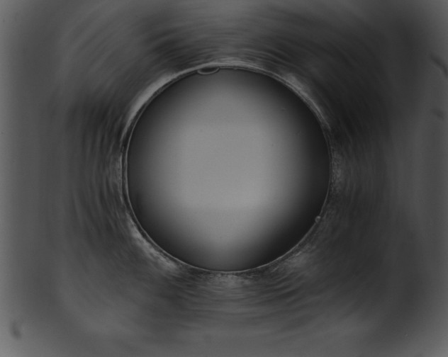 X0000101461100200807141301