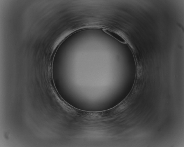 X0000101461101200807141301
