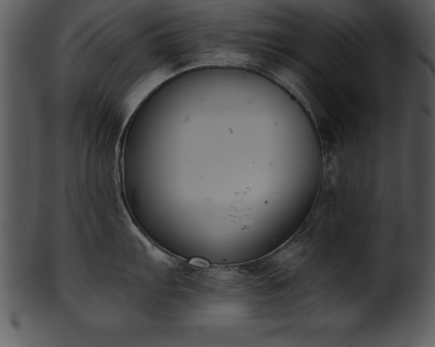 X0000101461103200807141301