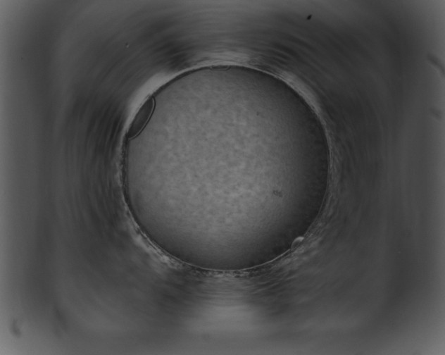X0000101461104200807141301