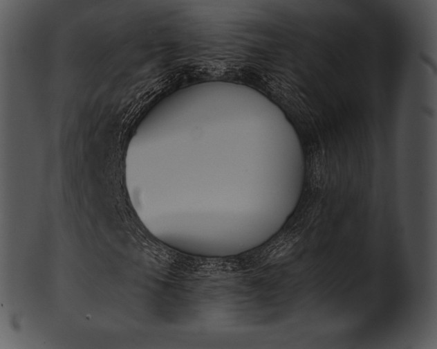 X0000101461105200807141300