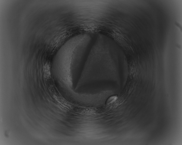 X0000101461106200807141300