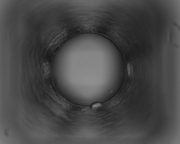 X0000101461107200807141300