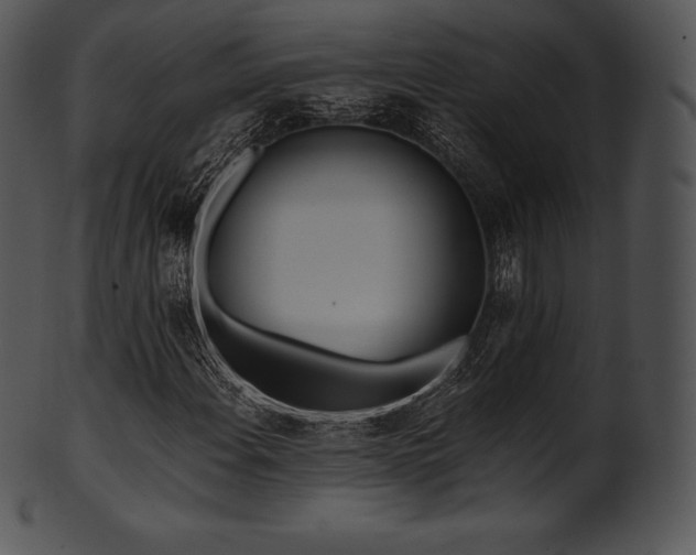X0000101461108200807141300