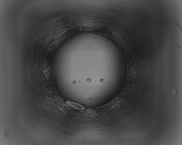X0000101461109200807141300