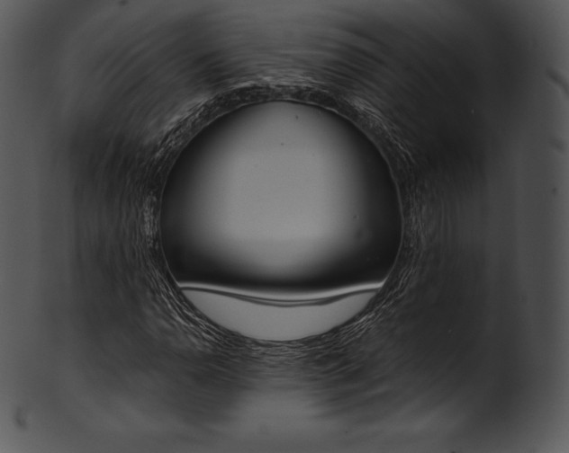 X0000101461110200807141300