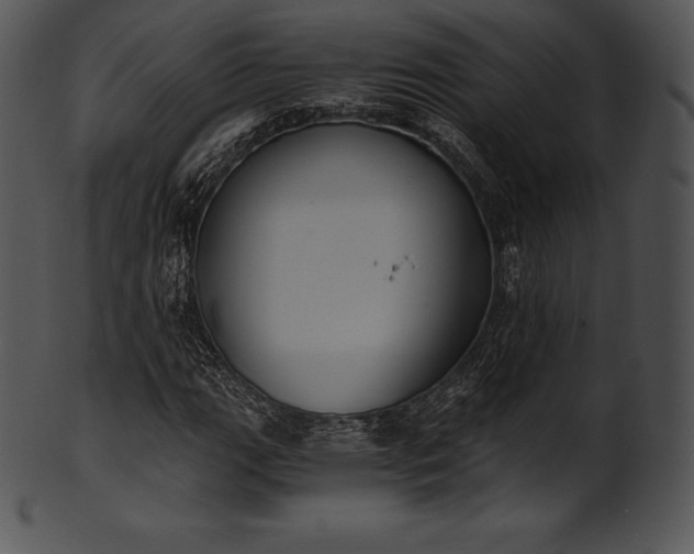X0000101461111200807141300