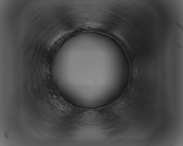 X0000101461112200807141300