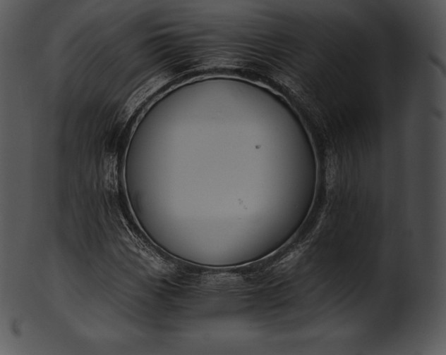 X0000101461113200807141300