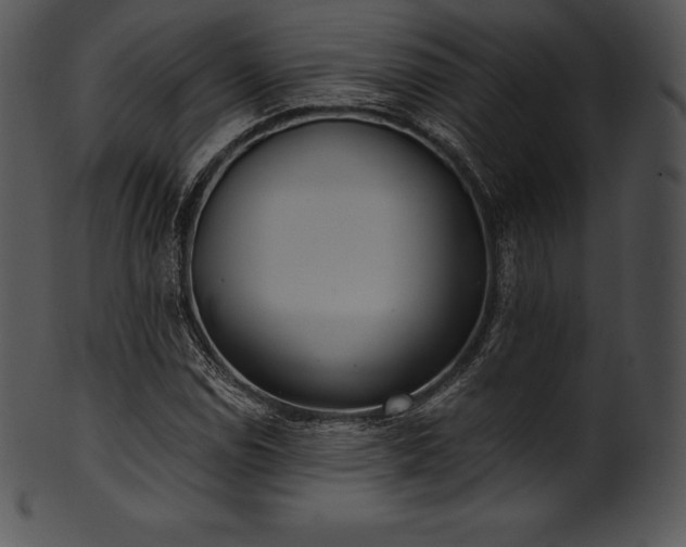 X0000101461114200807141300