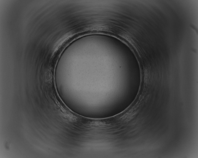 X0000101461115200807141300
