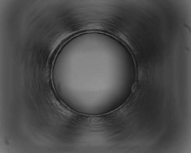 X0000101461116200807141300