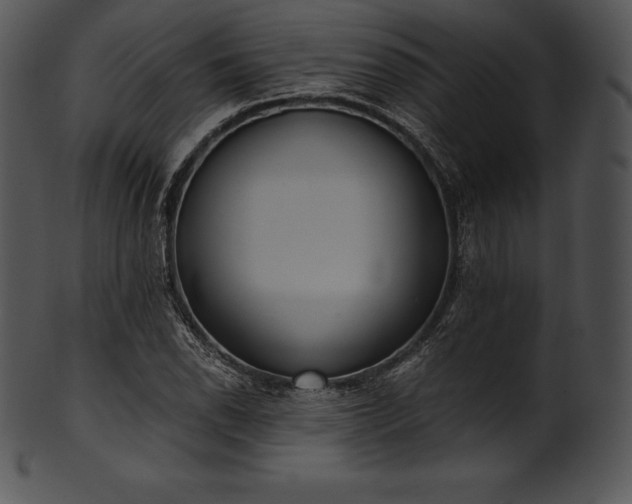 X0000101461118200807141300