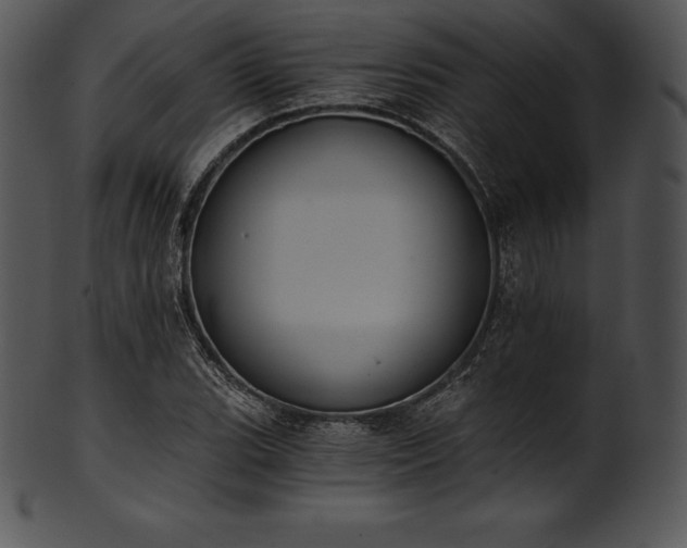 X0000101461119200807141300