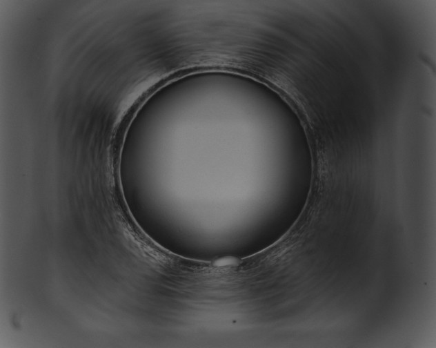 X0000101461120200807141300