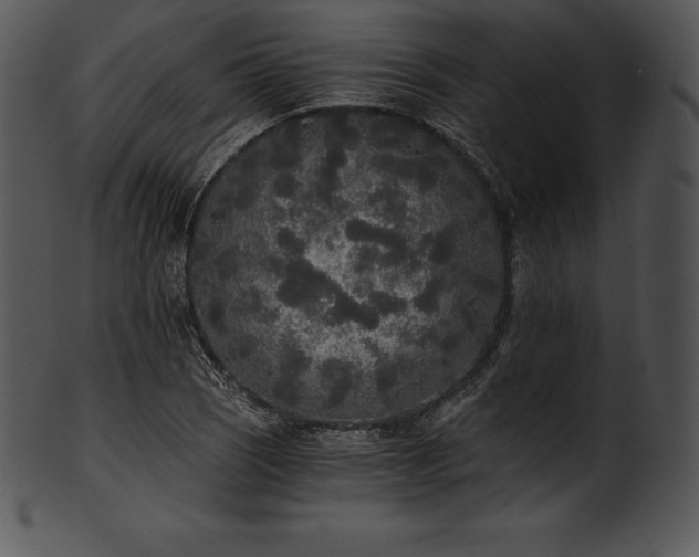 X0000101461121200807141301