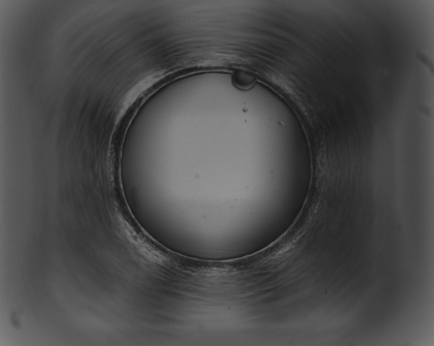 X0000101461122200807141301