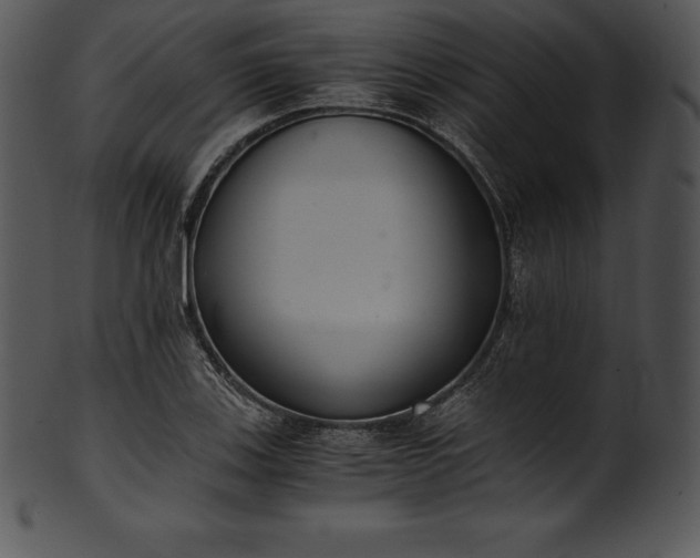 X0000101461123200807141301