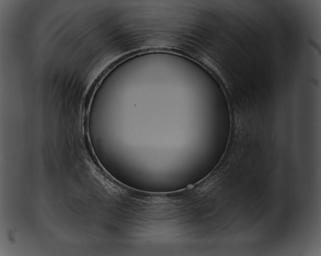 X0000101461124200807141301