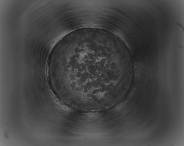 X0000101461125200807141301