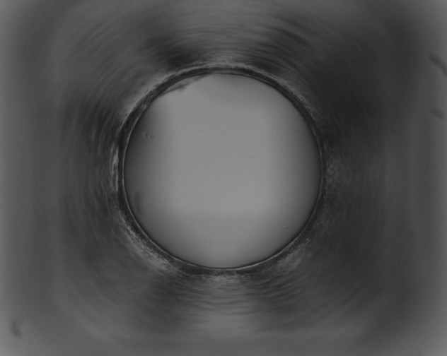 X0000101461126200807141301
