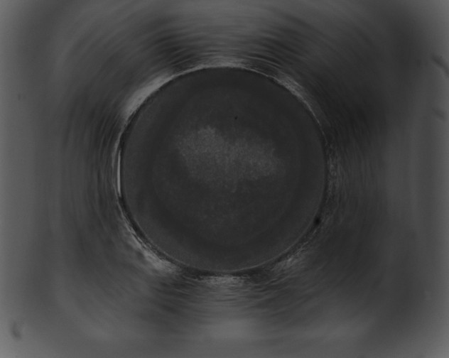 X0000101461127200807141301