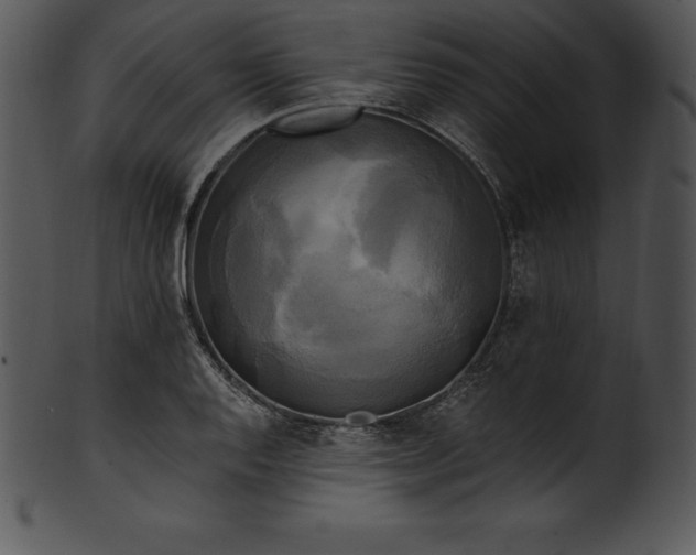 X0000101461128200807141301