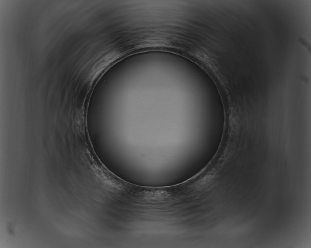 X0000101461129200807141301