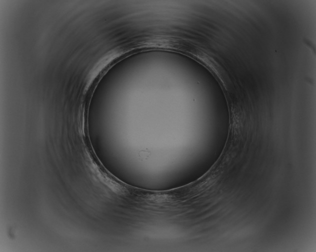 X0000101461131200807141301