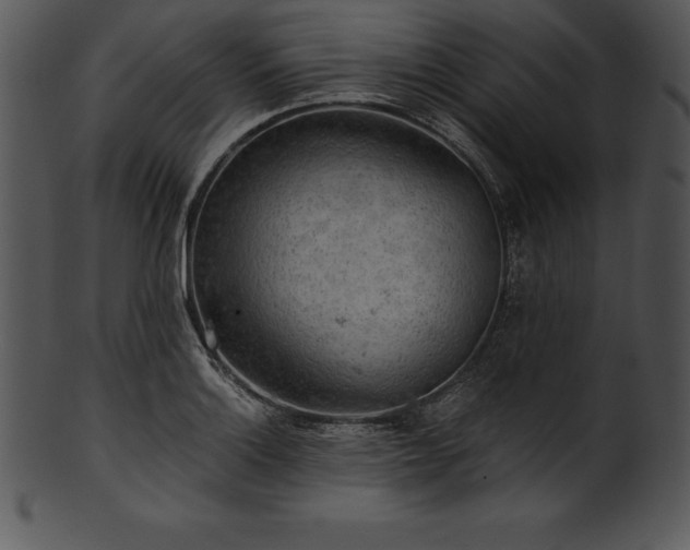 X0000101461132200807141301