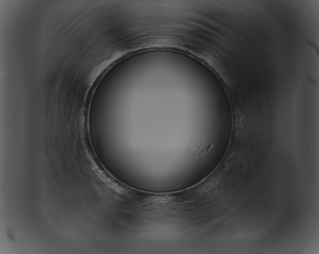 X0000101461134200807141301