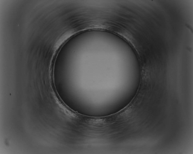 X0000101461135200807141301