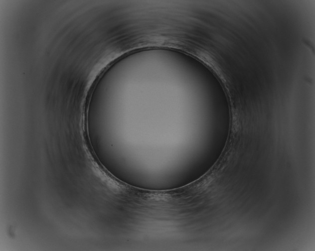 X0000101461136200807141301