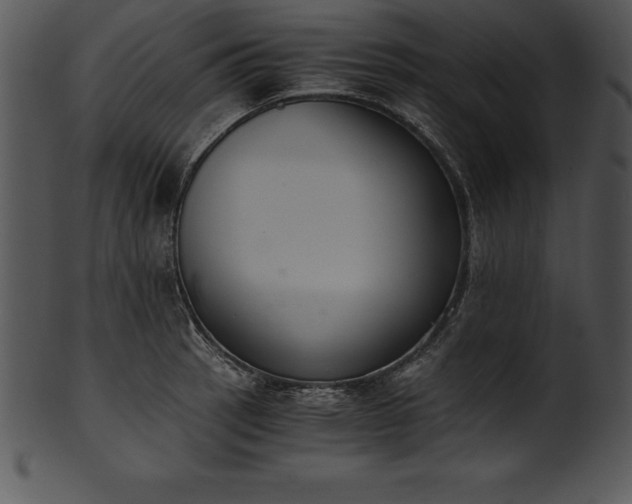 X0000101461137200807141301