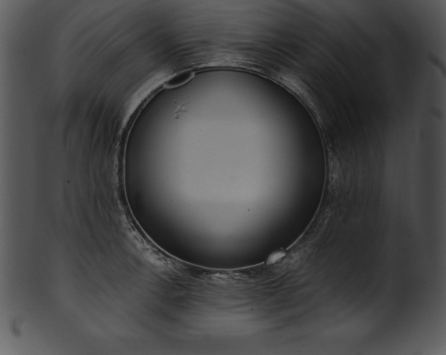 X0000101461138200807141301