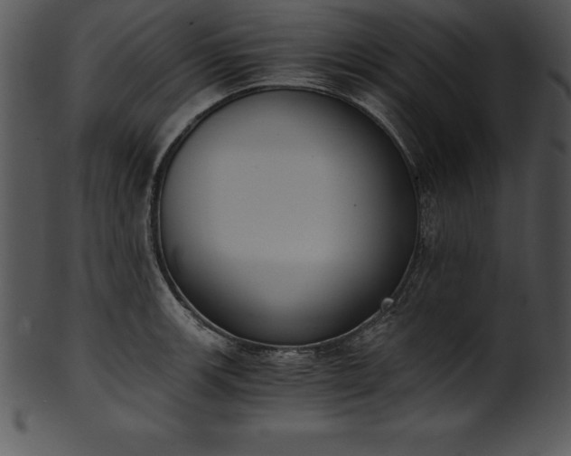 X0000101461139200807141301