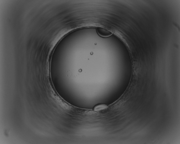 X0000101461140200807141301