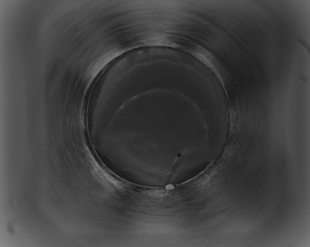 X0000101461141200807141301