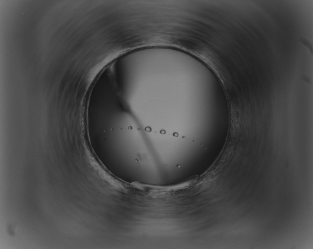 X0000101461142200807141301