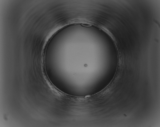X0000101461144200807141301
