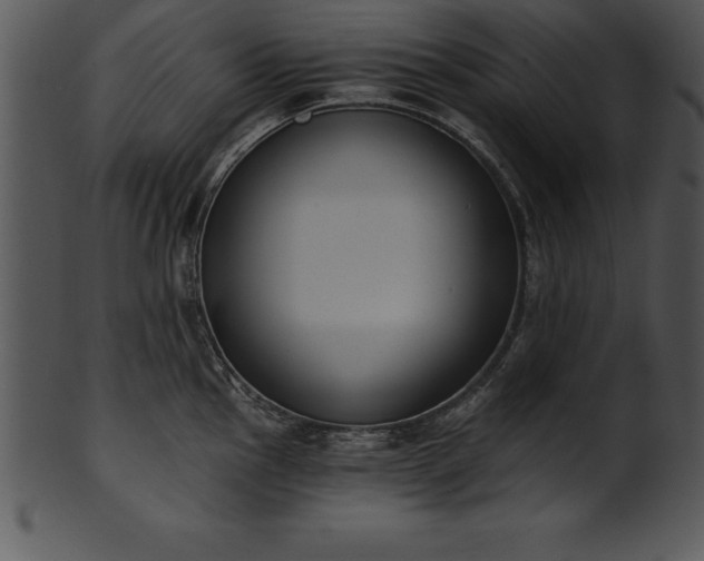 X0000101461145200807141301