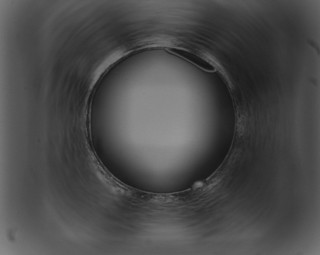 X0000101461146200807141301