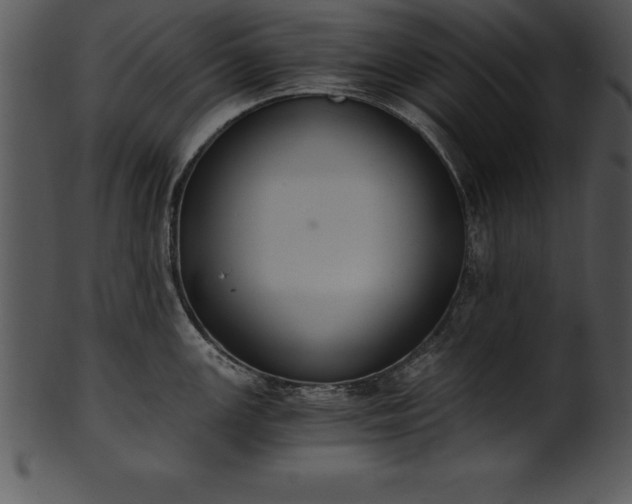 X0000101461147200807141301