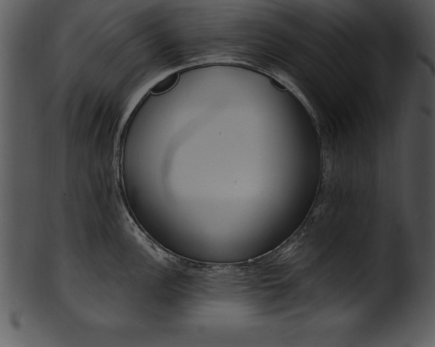 X0000101461148200807141301