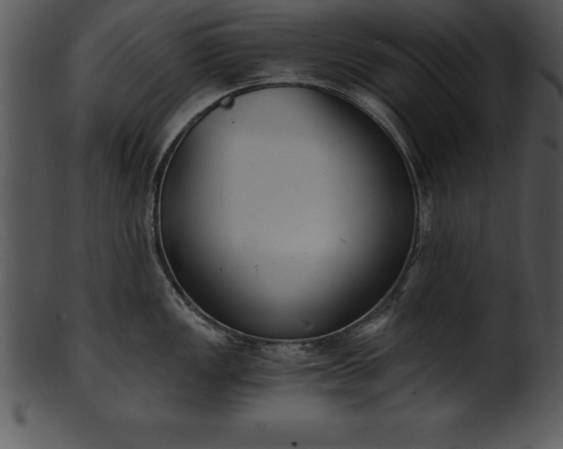 X0000101461149200807141301