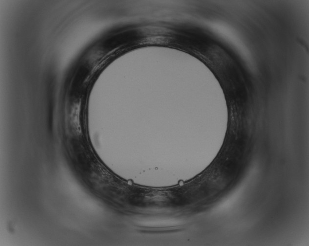 X0000101461150200807141301
