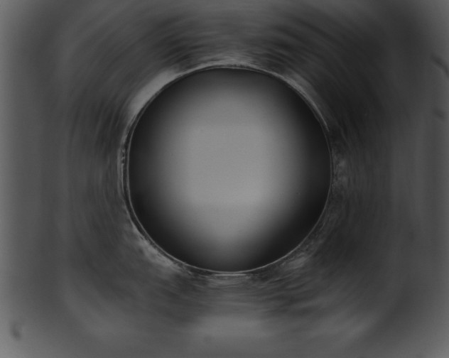 X0000101461151200807141301