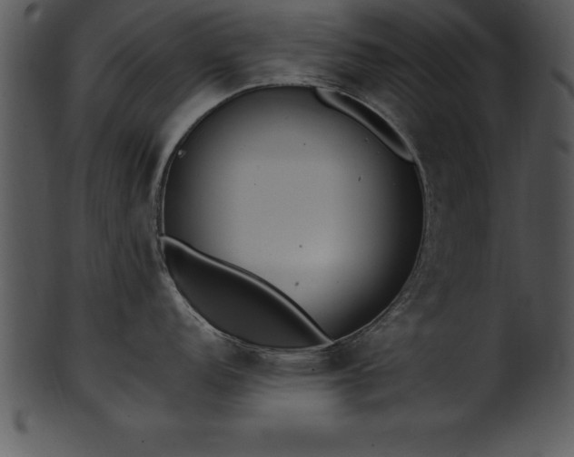 X0000101461152200807141301