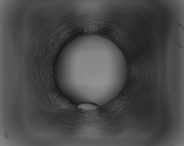 X0000101461153200807141300